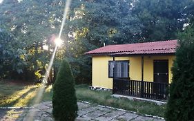 Морска База Венера